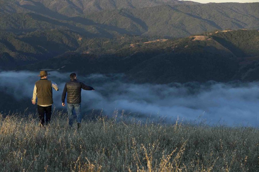Degustazione vini del Mondo