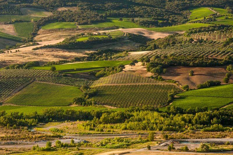 Vini & Regioni Video Preview