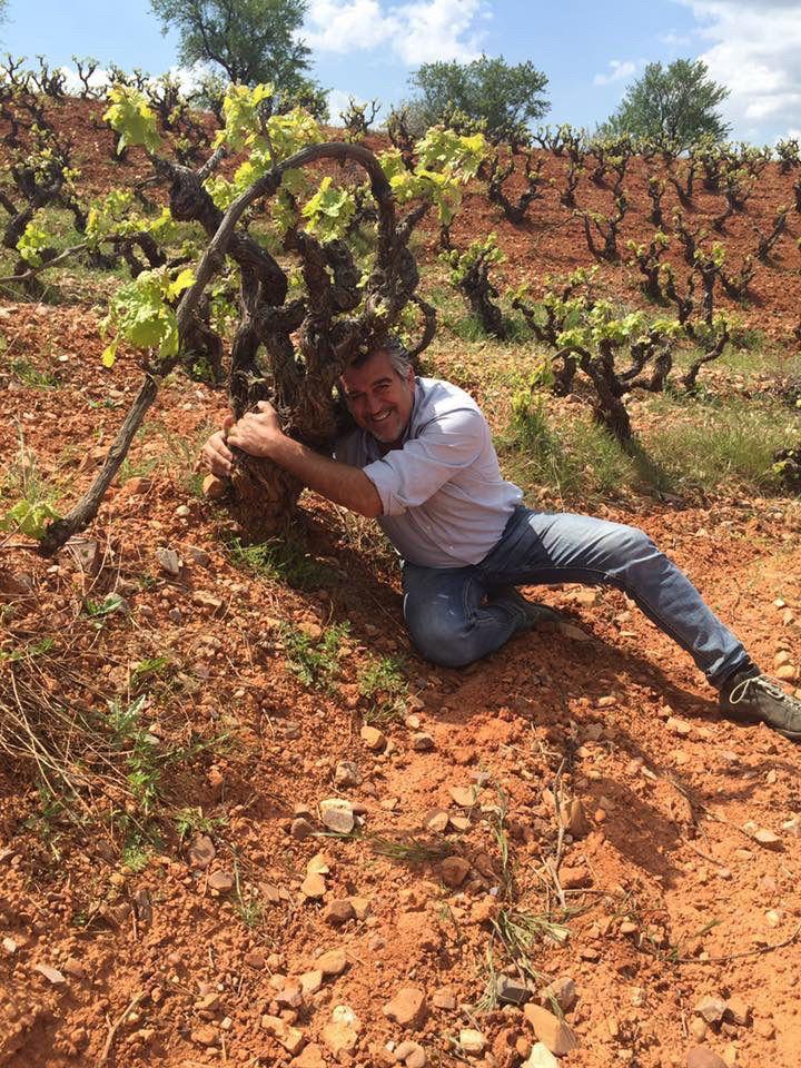 Il Vino: Una Testimonianza Liquida