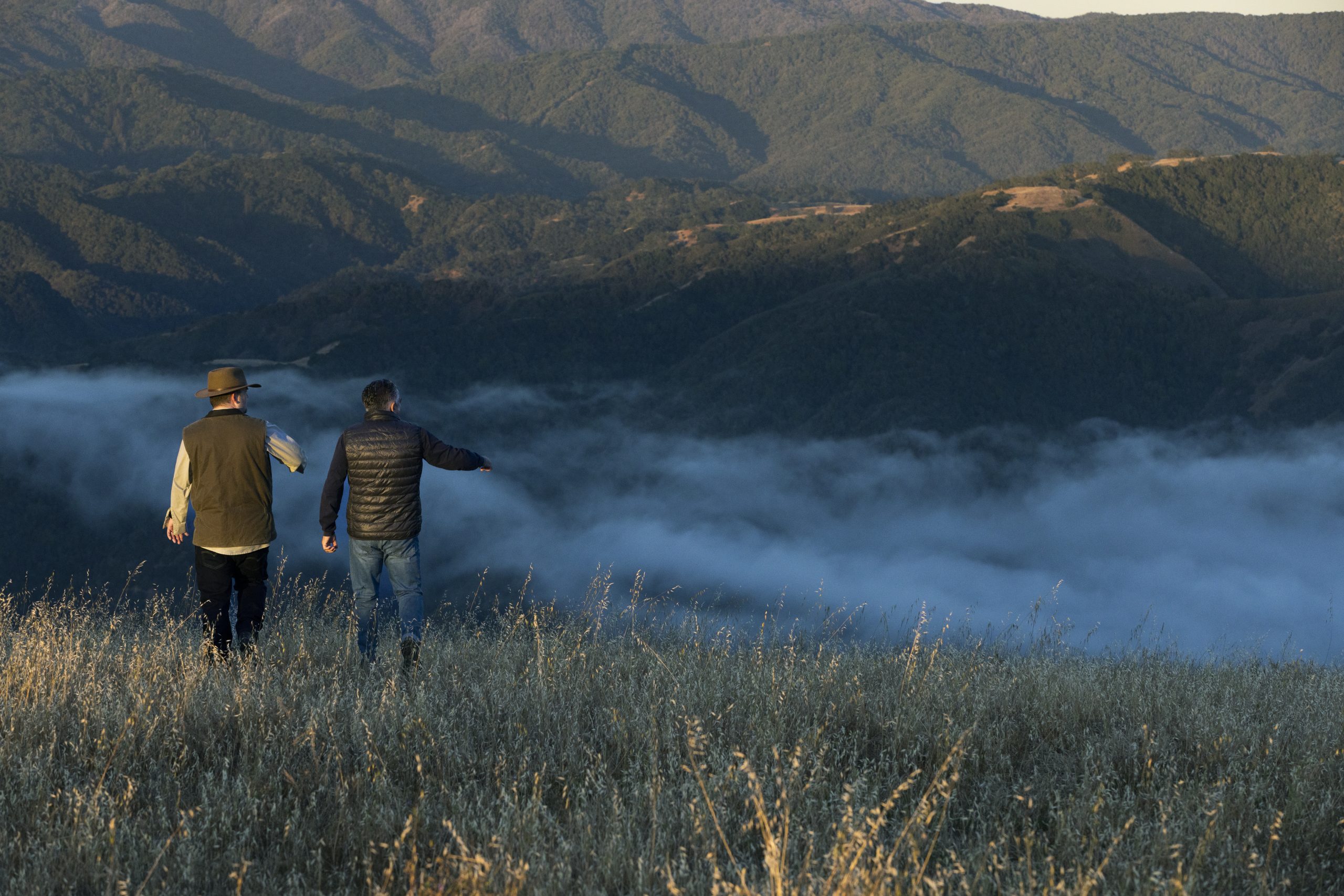 Un volo tra i vini del Mondo