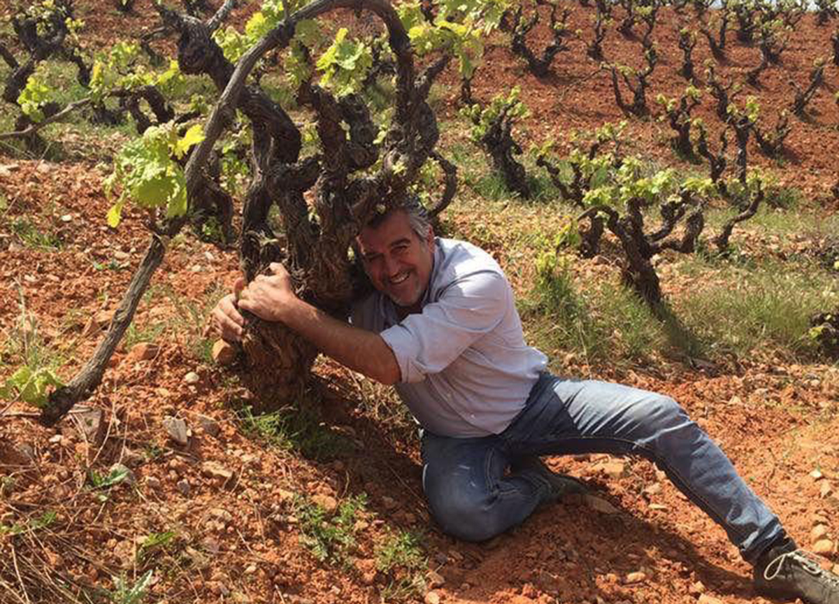 The Wine: A Liquid Testimony