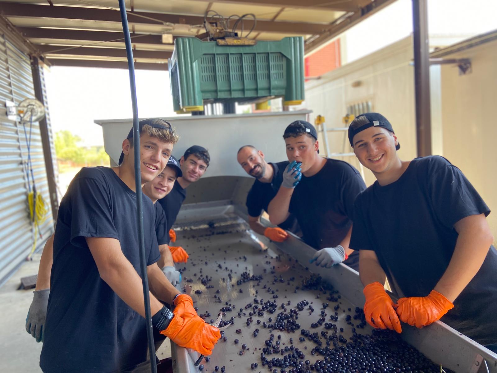 Esperienze universitarie