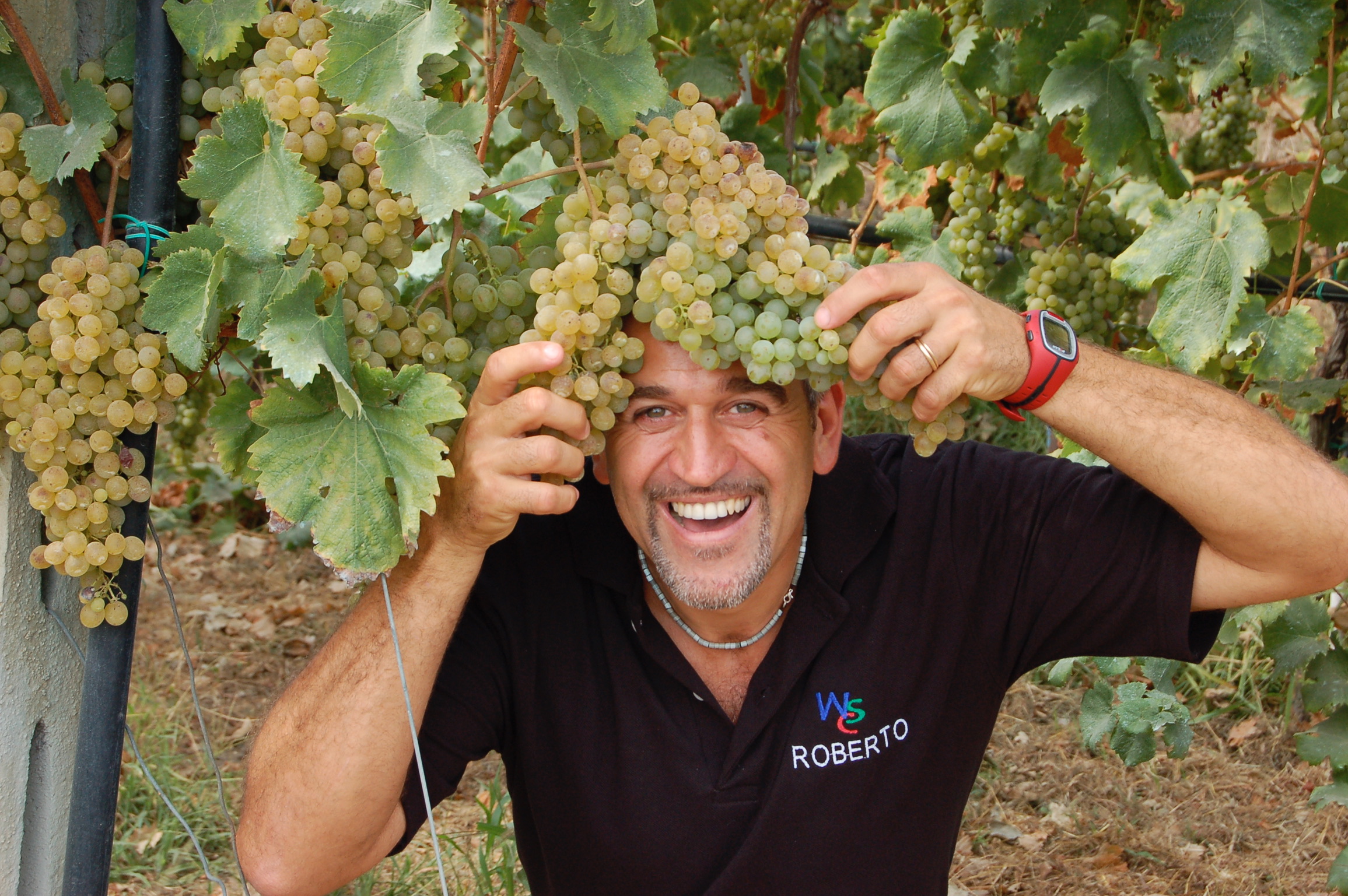 Formazione e i Primi Passi