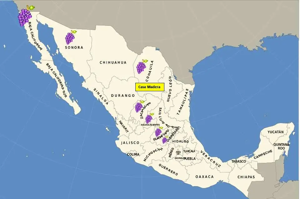 Messico - Valle de Guadalupe, Baja California