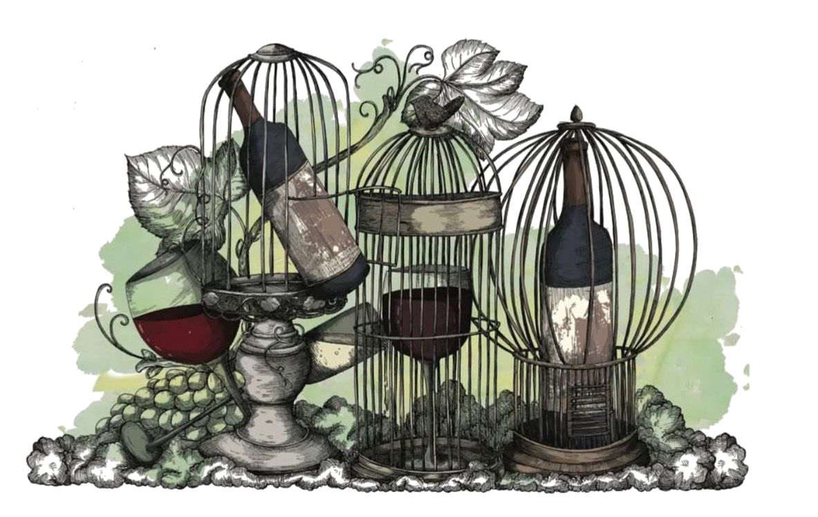 Avventure Nel Nuovo Mondo