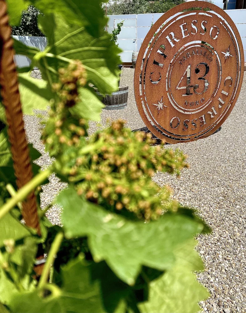 Roberto Cipresso e la Quadratura del Cerchio